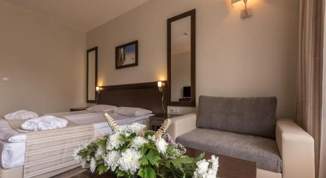 Двухместный номер Standard Lion Hotel Borovets