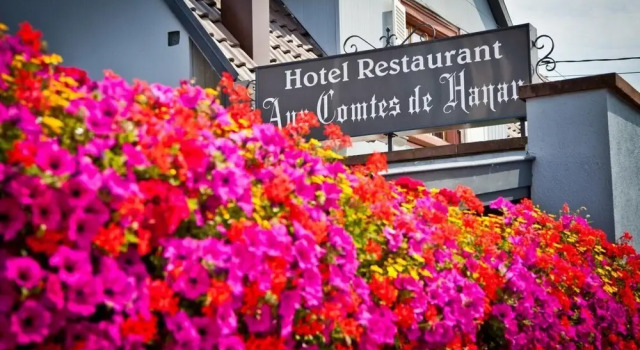 Logis Hotel Aux Comtes De Hanau, Book Hotel Ingwiller Bas-Rhin