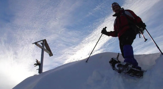 Апартаменты c 1 комнатой Ferienwohnungen Zugspitze