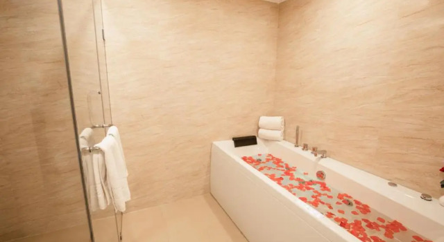 Люкс Presidential Jenneys Residency