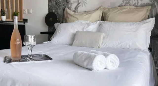 Un Palmier Dans la Chambre, Studio de Standing