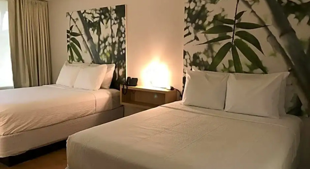 Четырёхместный номер Economy GreenPoint Hotel Kissimmee