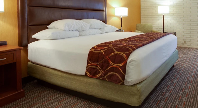 Номер Standard Drury Inn & Suites Denver Tech Center