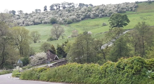 Rose Cottage
