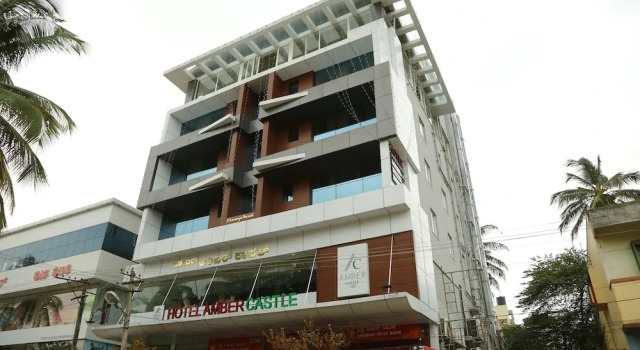 Hotel Amber Castle