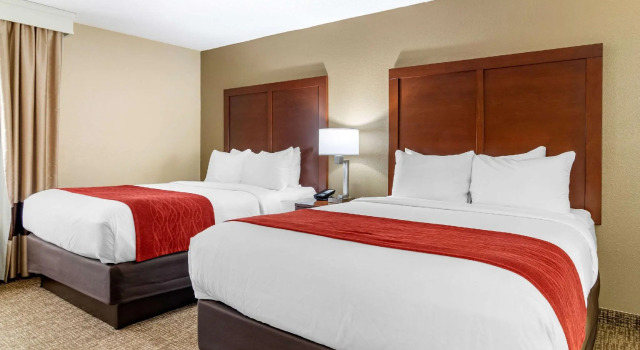 Четырёхместный люкс Comfort Inn & Suites Macon North I-75