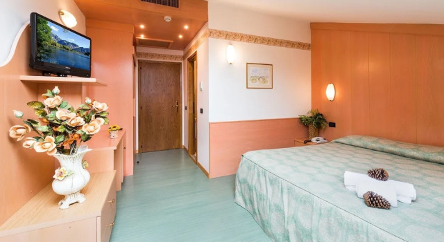 Двухместный номер Standard с балконом Hotel Ariston