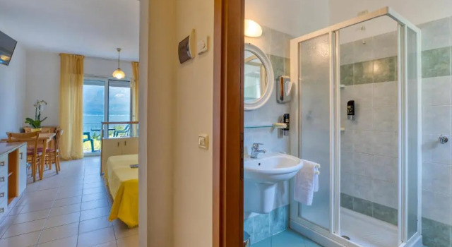 Двухместный номер Standard с балконом и с видом на озеро Hotel Casa Piantoni