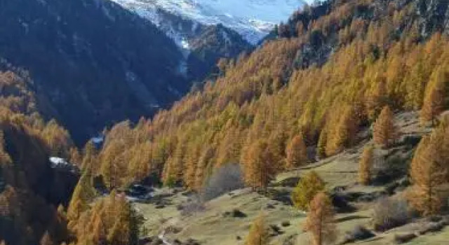 Zermatt Panoramic View Flat, Забронировать Отель Церматт курорт Церматт, рядом с Горнолыжный подъемник Маттерхорн Гласье Парадайз
