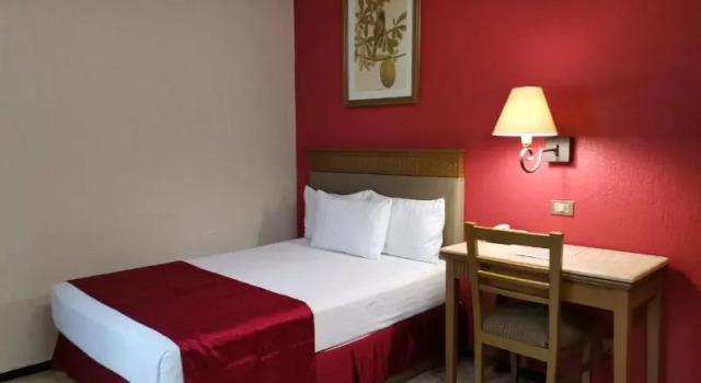 Одноместный номер Standard Hotel Olmeca Plaza
