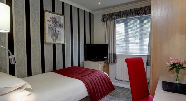 Одноместный номер Standard The Birch Hotel