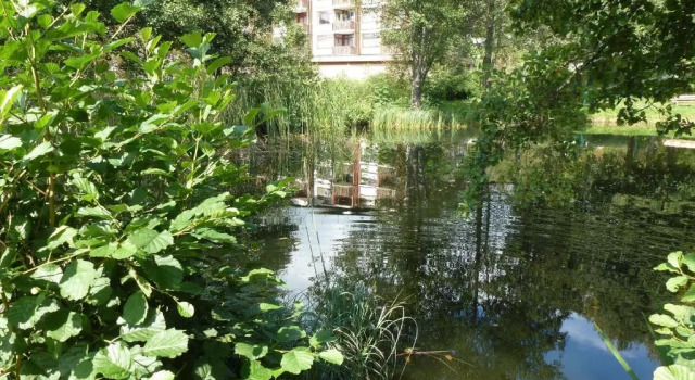 Апартаменты c 1 комнатой Ferienwohnung Schluchsee