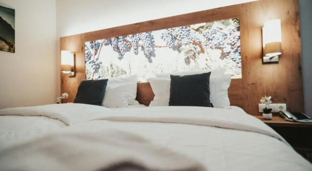 Двухместный номер Standard Hotel Rodderhof