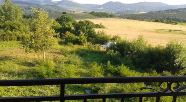 Люкс Deluxe Guesthouse Gostilitsa