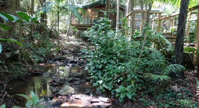 Студия Treetops Montville