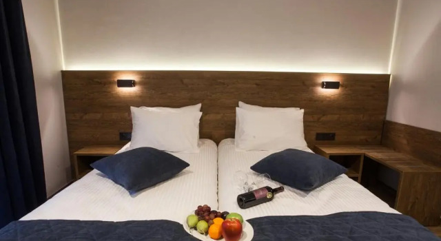 Двухместный номер Standard Trikala River House