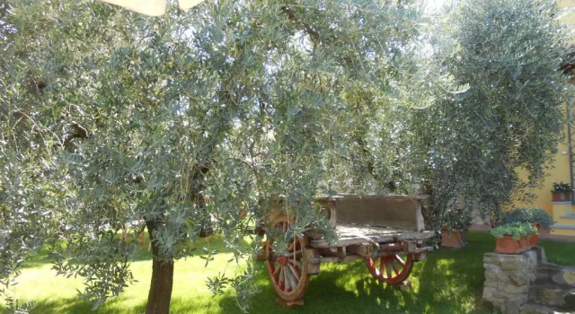 Podere La Casuccia