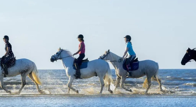 Charmant 2 pièces à 500 m des plages et du centre, Забронировать Апартаменты/квартира Кабур 