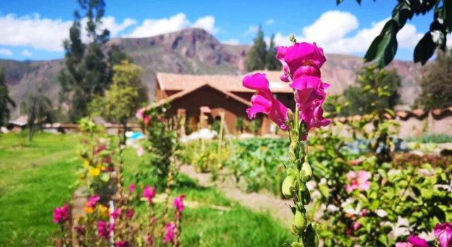 Kinsapacha Ecolodge, Book Hotel Hoteller i Urubamba med parkering, nær Main Square, Parkering