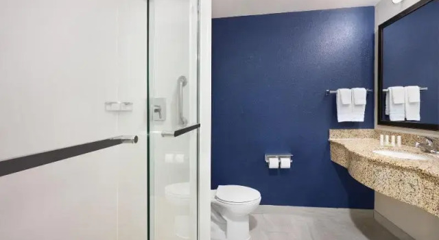 Номер Deluxe Fairfield Inn & Suites By Marriott Hinesville Fort Stewart