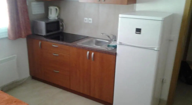 Студия Apartments Benedičič