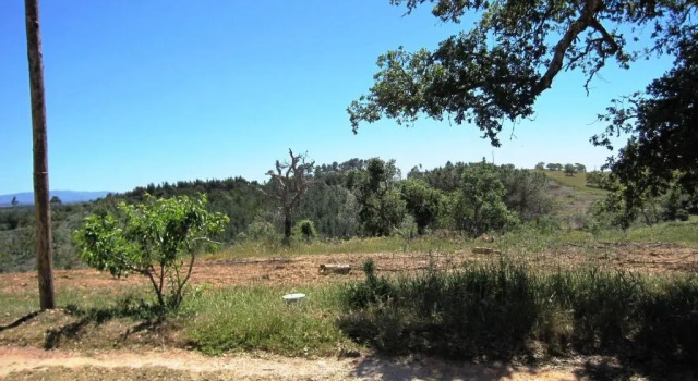 Коттедж Casa Alentejana