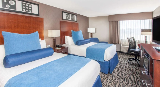 Четырёхместный номер Deluxe Wyndham Garden Elk Grove Village - OHare