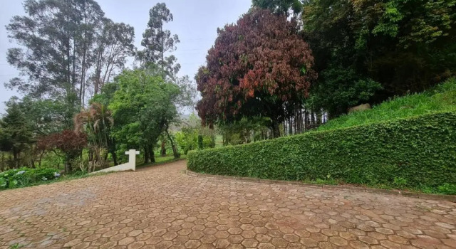 Люкс с 2 комнатами POUSADA PARAISO DOS TUCANOS