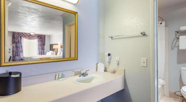 Четырёхместный номер Deluxe The Buena Park Hotel & Suites