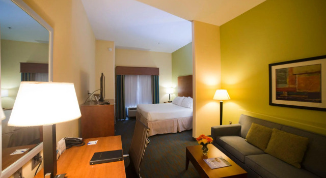 Двухместный люкс Holiday Inn Express Hotel & Suites Atlanta East - Lithonia by IHG