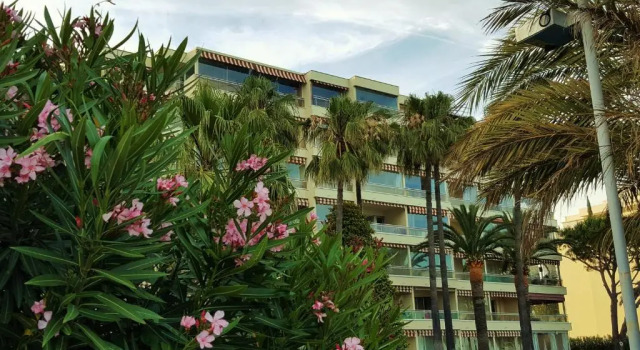 Студия Sea Front Apartment Cannes