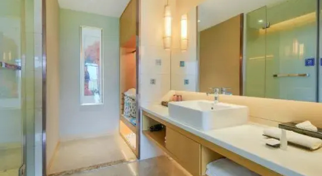 Одноместный люкс Skov River Resort