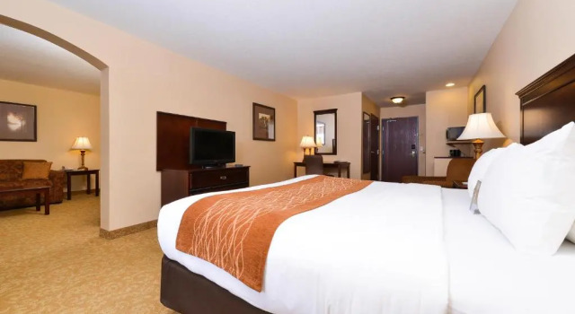 Люкс Standard Comfort Inn & Suites McMinnville Wine Country