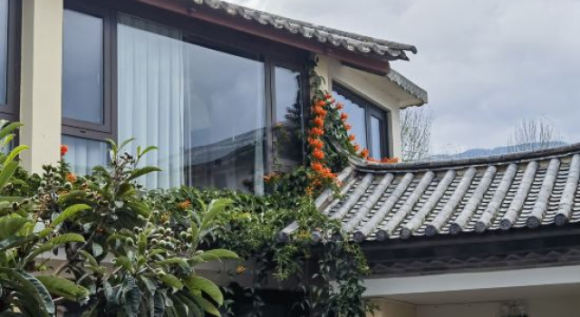 Shaxi North Return Homestay, Prenota Hotel Hotel a Dali con parcheggio, Parcheggio