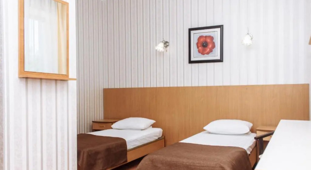Двухместный номер Standard Complex Verhovina Hotel&Restaurant