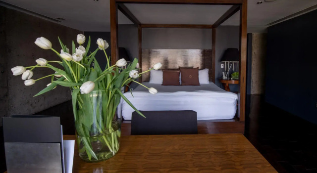 Demetria Hotel, Book Hotel Hotels in Jalisco with a Pool, Swimming Pool