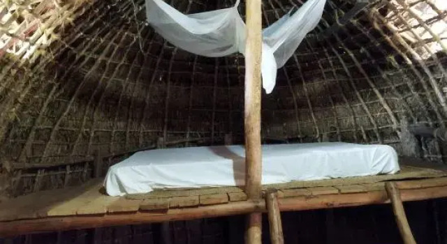 Номер Standard Mida Creek Eco Camp - lodge