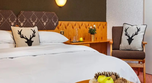Номер Standard Hotel Sport Klosters