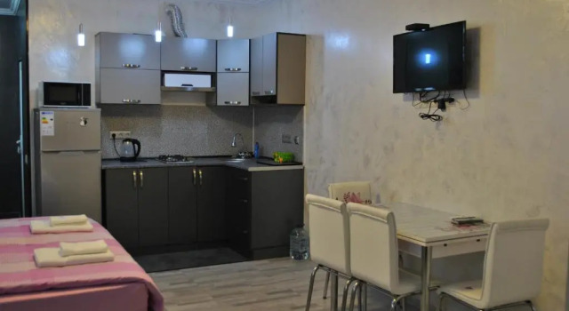 Monolocale Kobaladze 8A 245