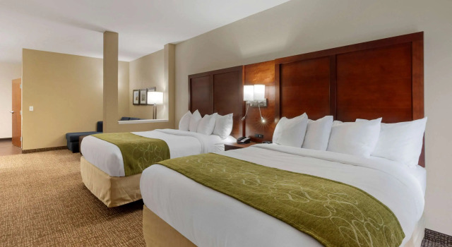 Четырёхместный люкс Comfort Suites Piedmont - Greenville South