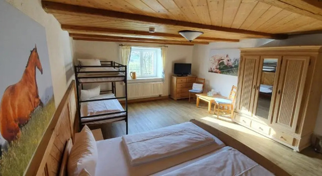 Четырёхместный номер Standard Allgäu Meadow Ranch