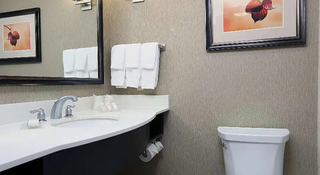 Номер Standard Hilton Garden Inn Clifton Park