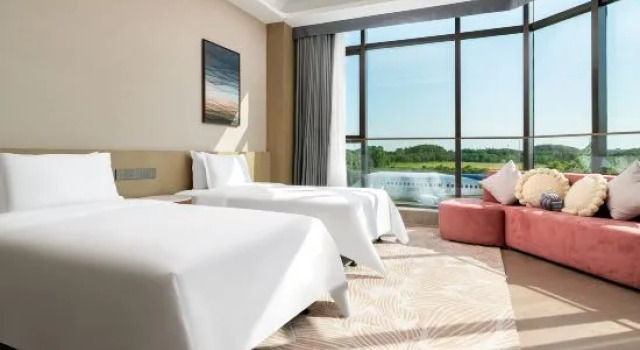 Люкс Wuxi Airport Fliport Garden Hotel