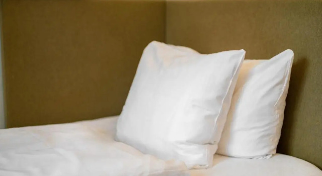 Одноместный номер Standard Quality Hotel Carlia