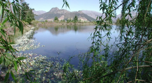 Коттедж с 2 комнатами La Verdure Fruit Farm