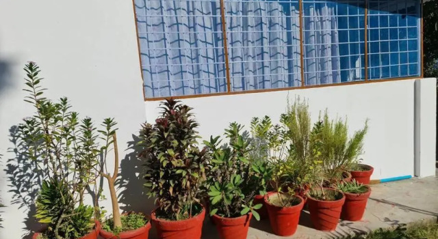 Green Diamond Homestay, Varaa Hotelli Mājra Uttarakhand