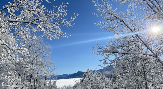 Номер Standard Gatlinburg Views A Unique Cabin Mountain Views Expansive Decks Adjacent To Gatlinburg & Ski Lodge cabin