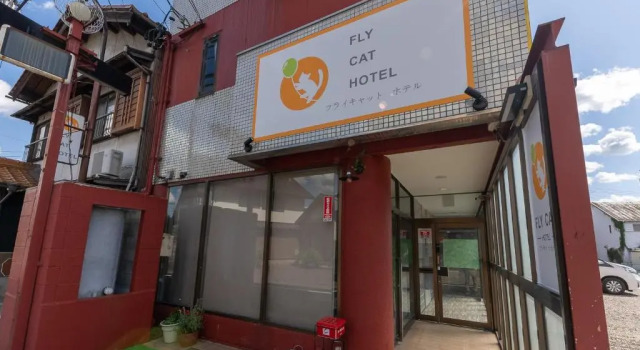 Flycat Hotel, Boek Hotel Hotels in Tokai met parkeren, Parkeren