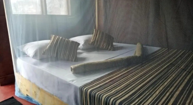 Номер Deluxe Dolphin Bay Cabana Resort