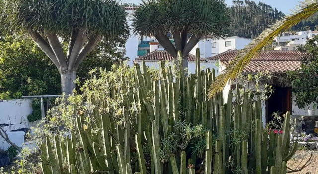 Коттедж Casa rural Los Dragos